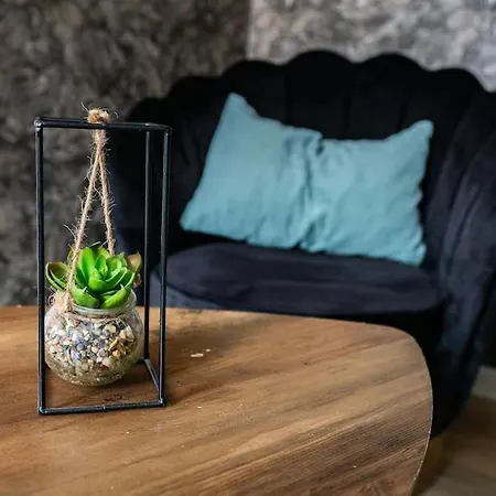 Les Du Calaisis - 201 Skully - Hyper Centre & Proche Καλέ